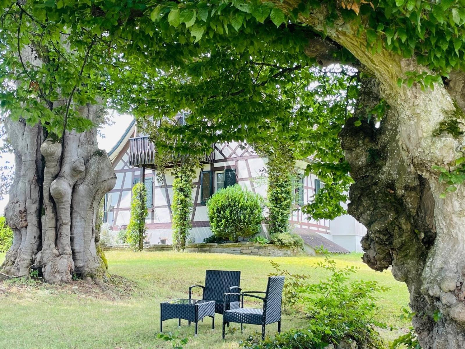 Appartement Villa Seeliebe Taegerwilen Экстерьер фото